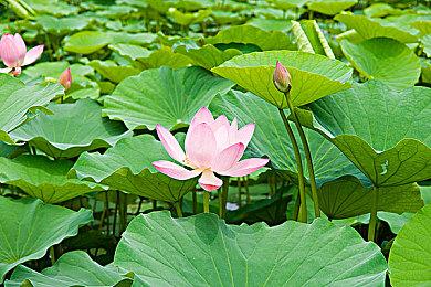 《死亡回归》工作室无意开发服务型游戏 称买断制仍有市场